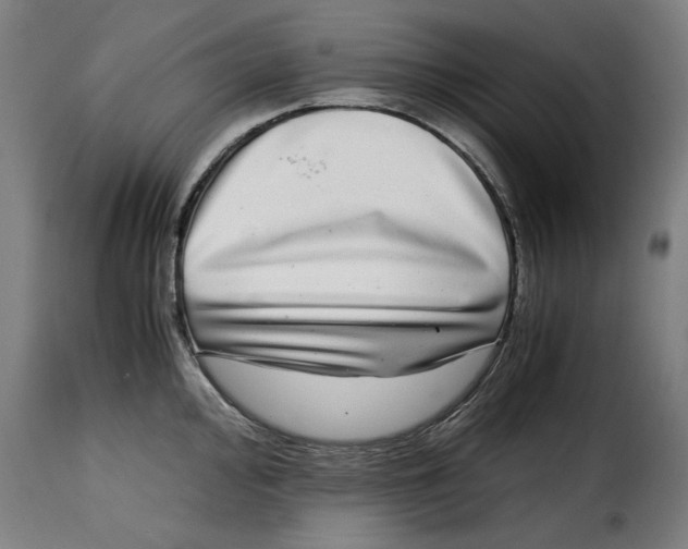 X0000115281000200911201748