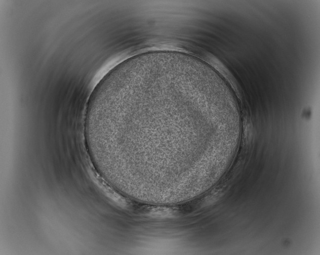 X0000115281002200911201747