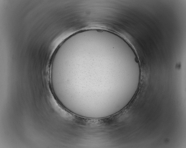 X0000115281003200911201747