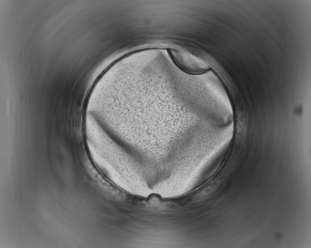 X0000115281004200911201747