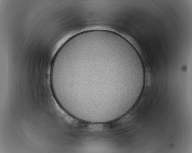 X0000115281006200911201747