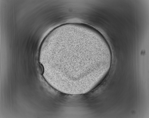 X0000115281008200911201747