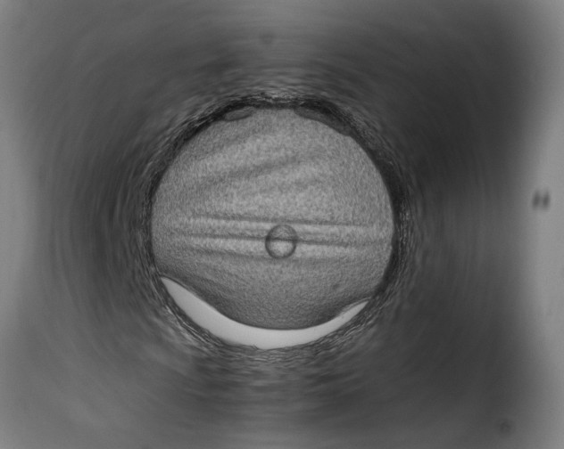 X0000115281009200911201747