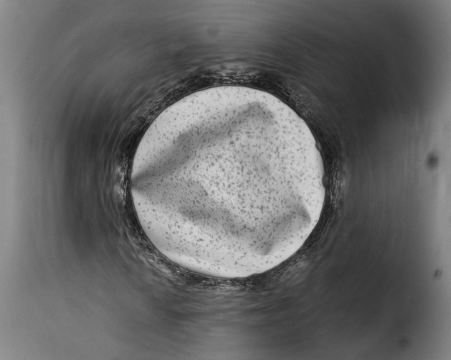 X0000115281010200911201747