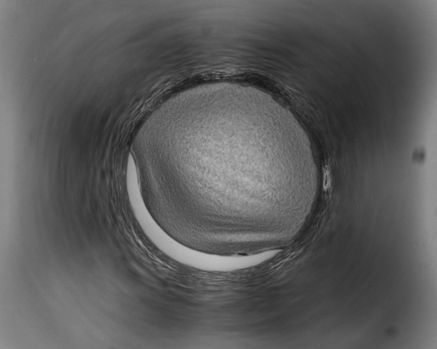 X0000115281011200911201747