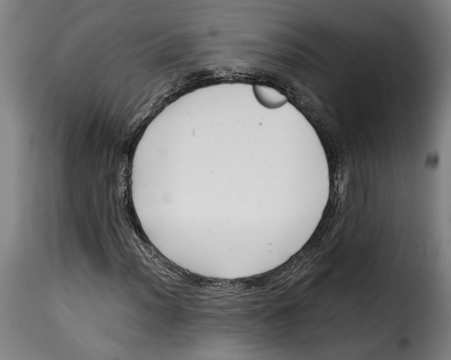 X0000115281012200911201747