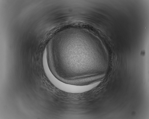 X0000115281013200911201747