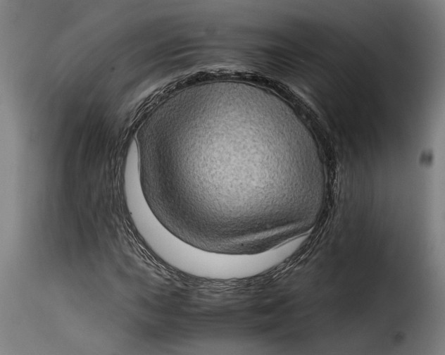 X0000115281015200911201747