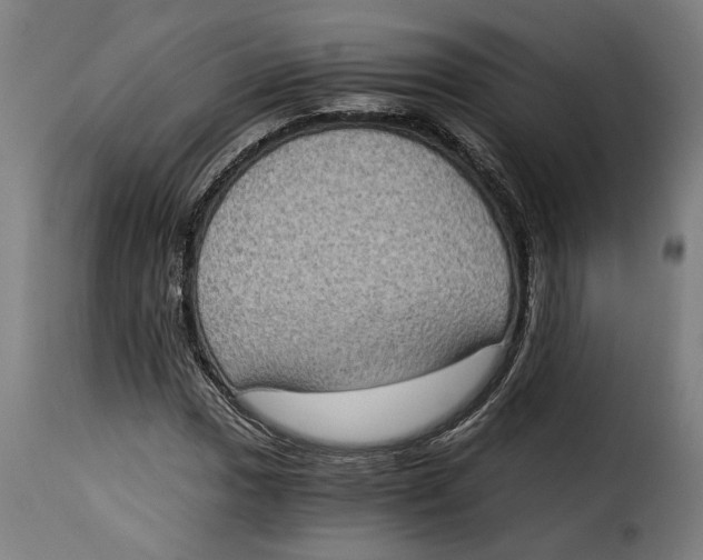 X0000115281017200911201747