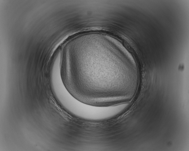 X0000115281023200911201747