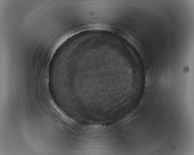 X0000115281024200911201747