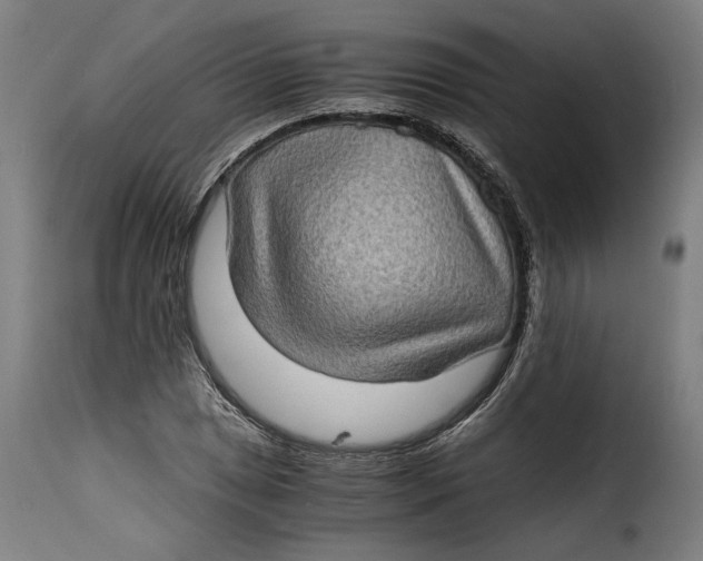 X0000115281025200911201747