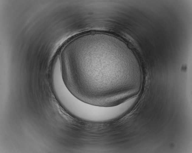 X0000115281027200911201747