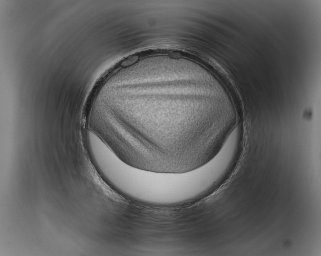 X0000115281029200911201747