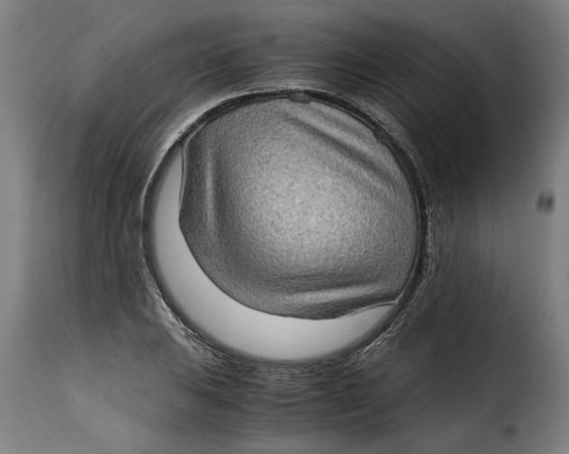 X0000115281031200911201747