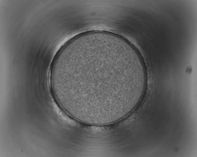 X0000115281032200911201747