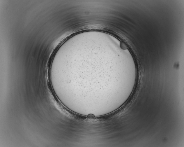 X0000115281034200911201747