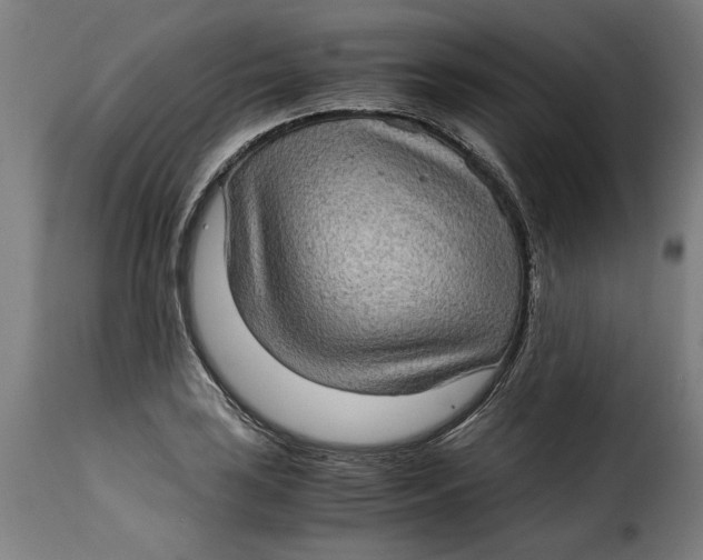 X0000115281035200911201747