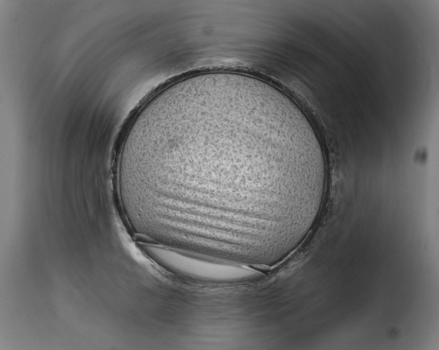 X0000115281038200911201747