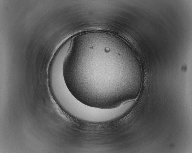 X0000115281039200911201747