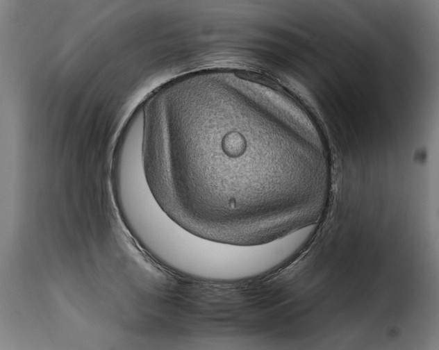 X0000115281043200911201747