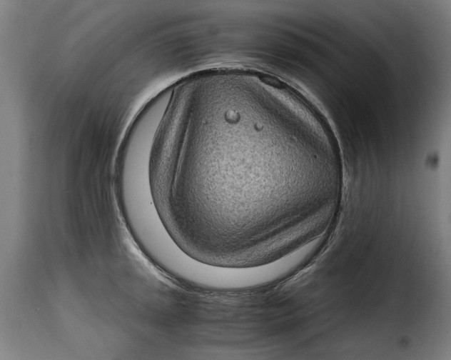 X0000115281045200911201747