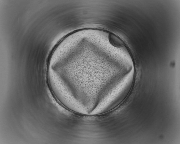 X0000115281046200911201747