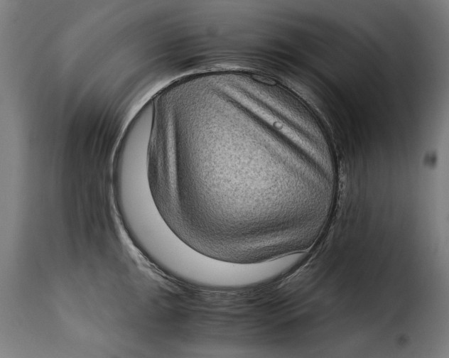 X0000115281047200911201747