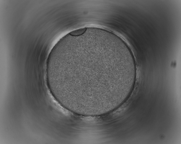 X0000115281048200911201747