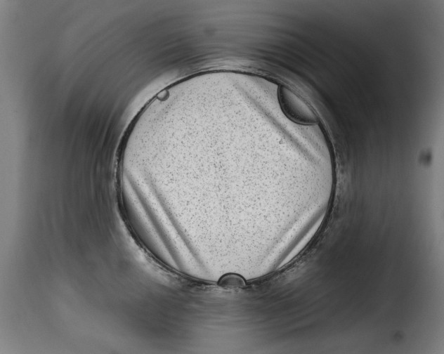 X0000115281050200911201747