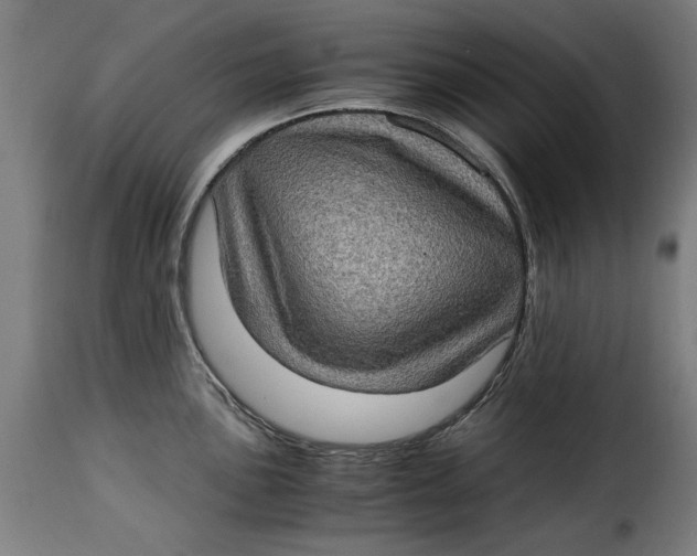 X0000115281051200911201747