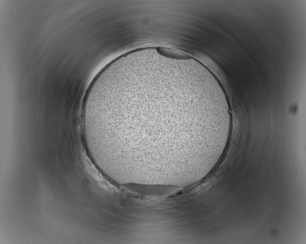 X0000115281052200911201747