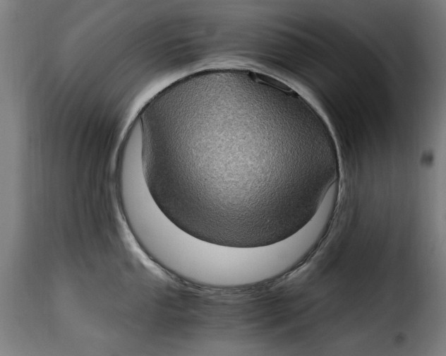 X0000115281053200911201747