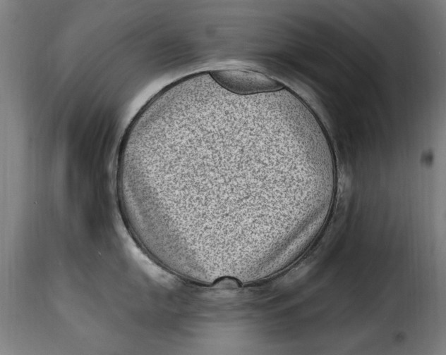 X0000115281054200911201747