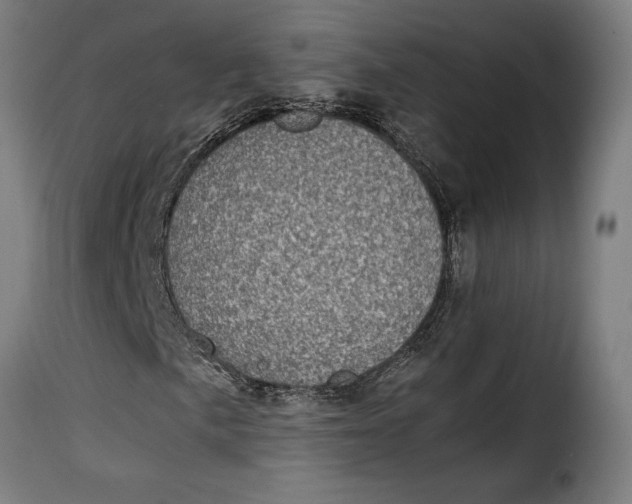 X0000115281057200911201747