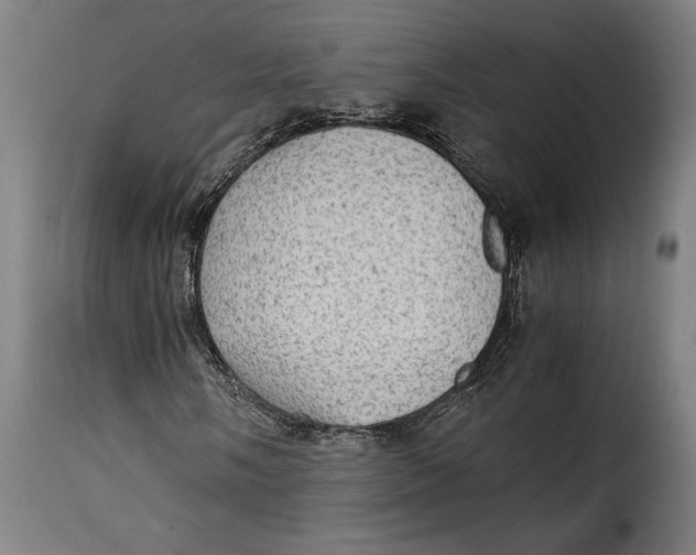 X0000115281058200911201747