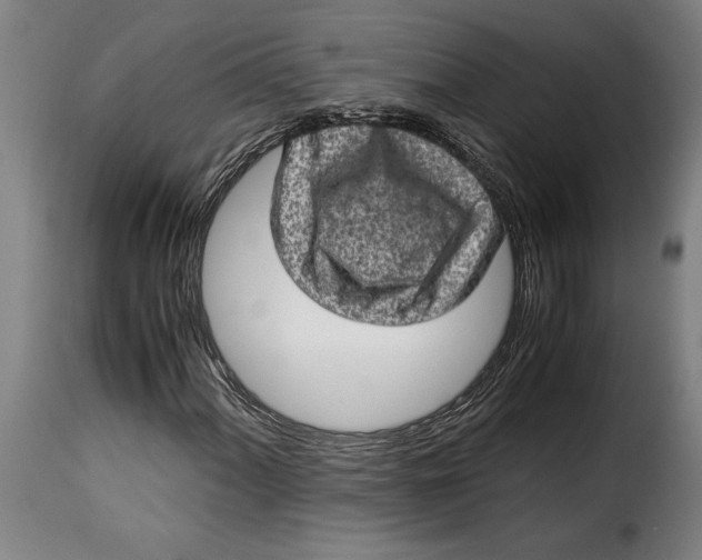 X0000115281060200911201747