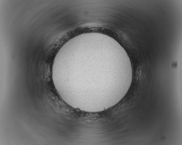 X0000115281062200911201747