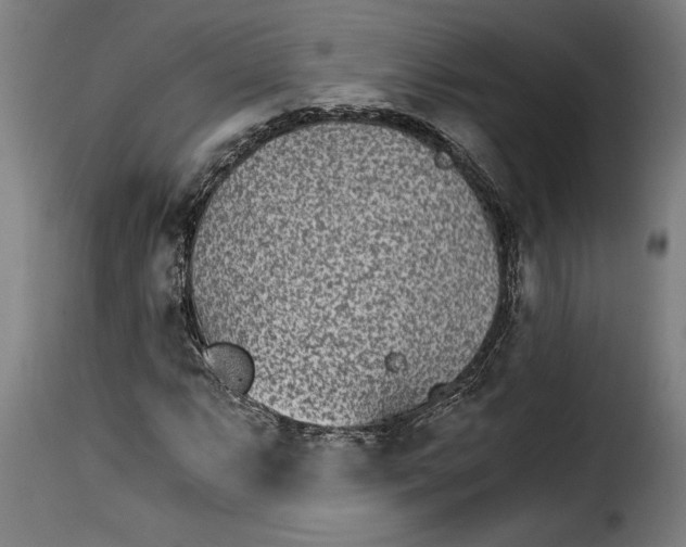 X0000115281063200911201747