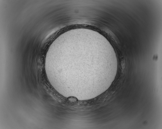 X0000115281064200911201747