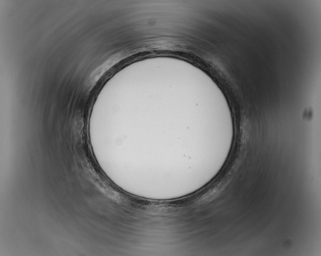 X0000115281065200911201747