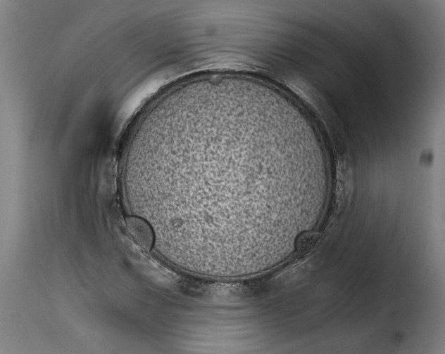 X0000115281067200911201747