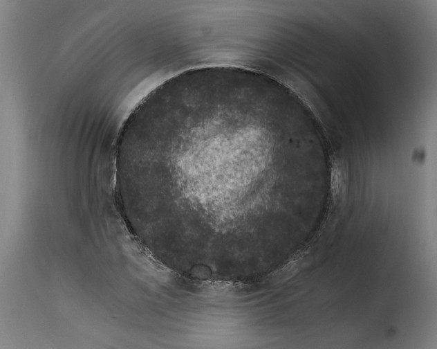 X0000115281069200911201746