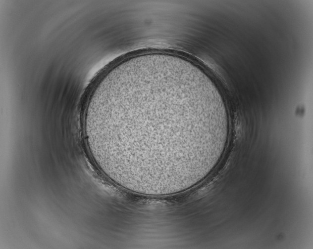 X0000115281070200911201746