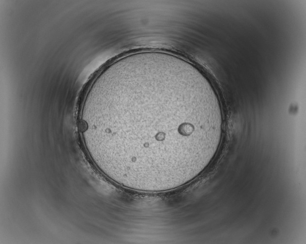 X0000115281071200911201746