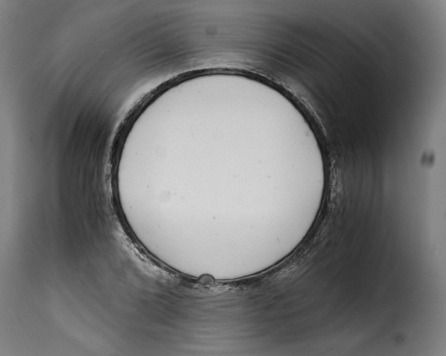 X0000115281072200911201746