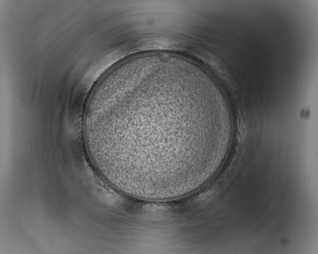 X0000115281073200911201746