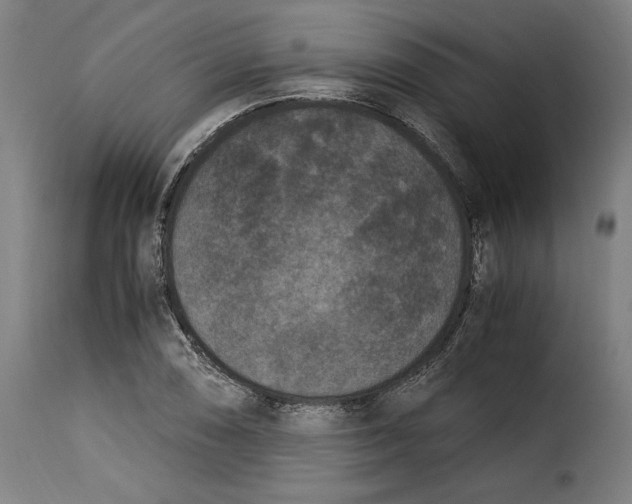 X0000115281074200911201746