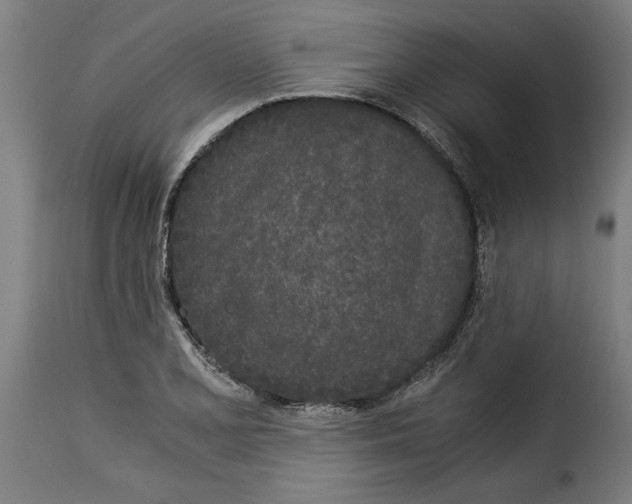 X0000115281077200911201746