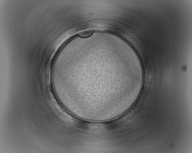 X0000115281083200911201746